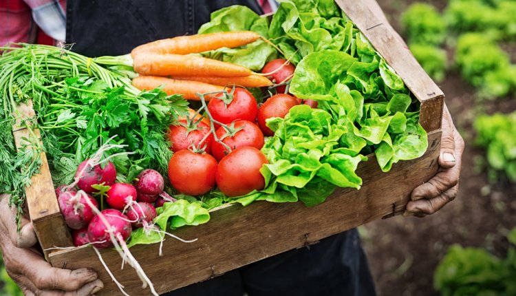 Hoe kun jij biologischer leven?